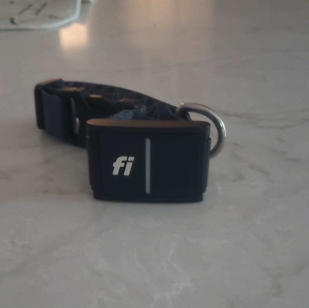 Fi Series 3 Smart Collar